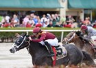 OBS Championship Stakes Fields Set OBS Championship Stakes Fields Set