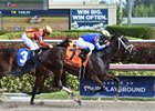 Curlin's Approval finished second in the Rampart