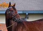 Nyquist