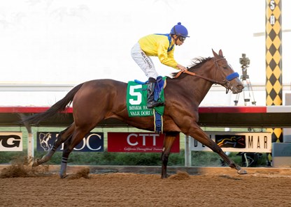 Vale Dori wins the 2016 Bayakoa Handicap