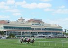 Gulfstream Park