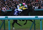 Soul Stirring Frankel's First Grade I Winner Soul Stirring Frankel's First Grade I Winner