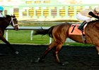 Cheers to You First Winner for Santiva Cheers to You First Winner for Santiva