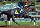 Arrogate works a bullet under Martin Garcia