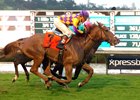Decked Out wins the Dec. 31 American Oaks at Santa Anita Park