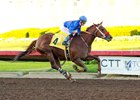 Resilient Humor wins her debut at Los Alamitos Race Course Dec. 8