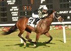 Dynatail becomes the first winner for freshman sire Hightail