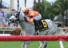 Spectacular Me wins the 2016 Claiming Crown Distaff Dash at Gulfstream Park