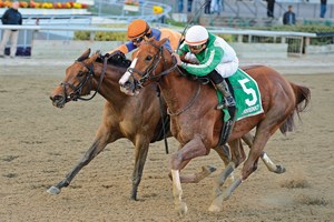 Highway Star wins the Go For Wand Handicap (gr. III) at Aqueduct.