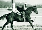 Remembering Best Turn's Queens County Remembering Best Turn's Queens County