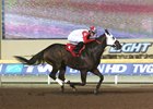 Half Dome Dude Sets Remington Track Record Half Dome Dude Sets Remington Track Record