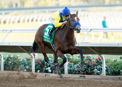 Vale Dori wins the 2016 Bayakoa Handicap