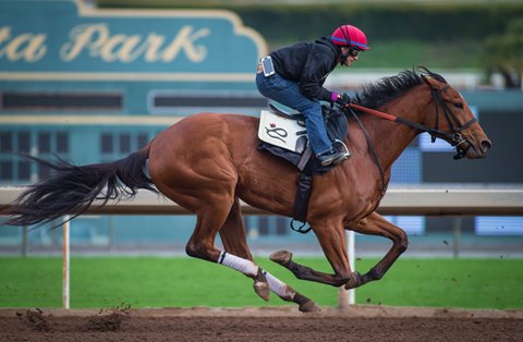 Champagne Room puts in a timed work over Santa Anita’s main track in December