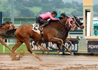Miller Trainees Dead Heat in Midnight Lute Miller Trainees Dead Heat in Midnight Lute
