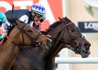 Miss Temple City wins the 2016 Matriarch Stakes at Del Mar Thoroughbred Club