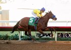 Vale Dori Impressive in Bayakoa Victory Vale Dori Impressive in Bayakoa Victory
