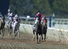 Perfect Wife defeated Torrent (far left) last December in Remington's Trapeze Stakes