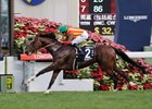Maurice to Stud at Shadai Stallion Station Maurice to Stud at Shadai Stallion Station