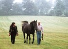 Karen and Mickey Taylor flank Seattle Slew at Three Chimneys Farm in 2000.