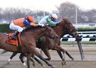 Highway Star takes the Go for Wand Handicap