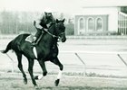 A Look Back at Best Turn's Queens County A Look Back at Best Turn's Queens County