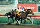 A Look Back at A.P. Indy's Hollywood Futurity A Look Back at A.P. Indy's Hollywood Futurity