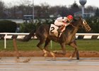 Stallwalkin’ Dude Faces Familiar Foes in Toboggan Stallwalkin’ Dude Faces Familiar Foes in Toboggan