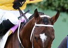 Terra Promessa won her first two starts of 2017, including the Pippin Stakes