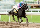 Midnight Storm Speeds to San Pasqual Victory Midnight Storm Speeds to San Pasqual Victory