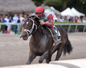 Tommy Macho Overcomes Trip to Win Hal's Hope