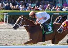 Early Entry Surges in Sunshine Millions Sprint Early Entry Surges in Sunshine Millions Sprint