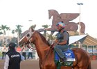 Weekend Stakes Rundown: The Pegasus Arrives Weekend Stakes Rundown: The Pegasus Arrives