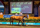 Lot 430 by Snitzel - Mirror Mirror is the day 2 sale topper.