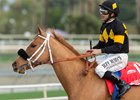 Jockey Mike Smith guides Finest City to the winner's circle after their victory in the Jan. 21 Santa Monica Stakes