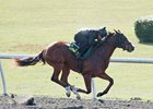 Hip 297 Hill Croome