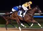 Reynaldothewizard Wins Third Straight Dubawi Stakes Reynaldothewizard Wins Third Straight Dubawi Stakes