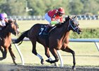 Master Plan wins the OBS Championship Stakes (colts and geldings division) by 2 1/2 lengths