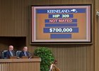 Hip 309 Delightful Joy from Denali.
Horses at the Keeneland January Sales near Lexington, Ky., on Jan. 9, 2017.