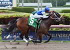 Wildcat Kate fights off Bode's Dream to win the Old Hat