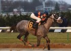 El Areeb wins the 2017 Jerome Stakes (G3) at Aqueduct