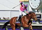 Champagne Room Undergoes Surgery for Bone Chip Champagne Room Undergoes Surgery for Bone Chip