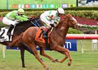 Bellavais wins the Ginger Brew Stakes