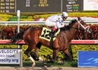 Cal Nation makes his stakes debut in the Jerome.<br><a target="blank" href="http://www.bloodhorse.com/horse-racing/photo-store?ref=http%3A%2F%2Fpictopia.com%2Fperl%2Fgal%3Fprovider_id%3D368%26ptp_photo_id%3D9399468%26ref%3Dstory">Order This Photo</a>