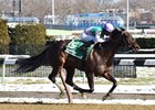 Lockdown Cruises in Busanda Win Lockdown Cruises in Busanda Win
