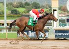 Watch This Cat wins the Las Cienegas stakes
