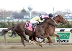 Beautyinthepulpit (#8) finishing a close second in the 2014 Alex M. Robb Stakes