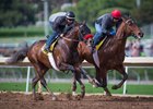 Semper Fortis (outside) and Ralis (inside) work at Santa Anita Park Jan. 21