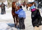 Optimism in the (Cold) Air at Keeneland Optimism in the (Cold) Air at Keeneland