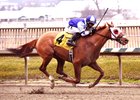 Page McKenney returned from a nine-month gap between races to win the Jan. 21 Native Dancer Stakes