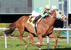Bigger Picture wins the 2017 John B. Connally Turf Cup (G3T) at Sam Houston